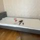 review photo № 5