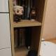 review preview photo № 2