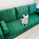 review preview photo № 0